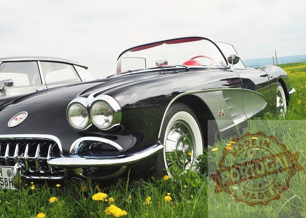Black Chevrolet Corvette classic car resting in green field | Black Chevrolet Corvette convertible showing vintage design parked in a spring field with dandelions - Realisiert mit Pictrs.com