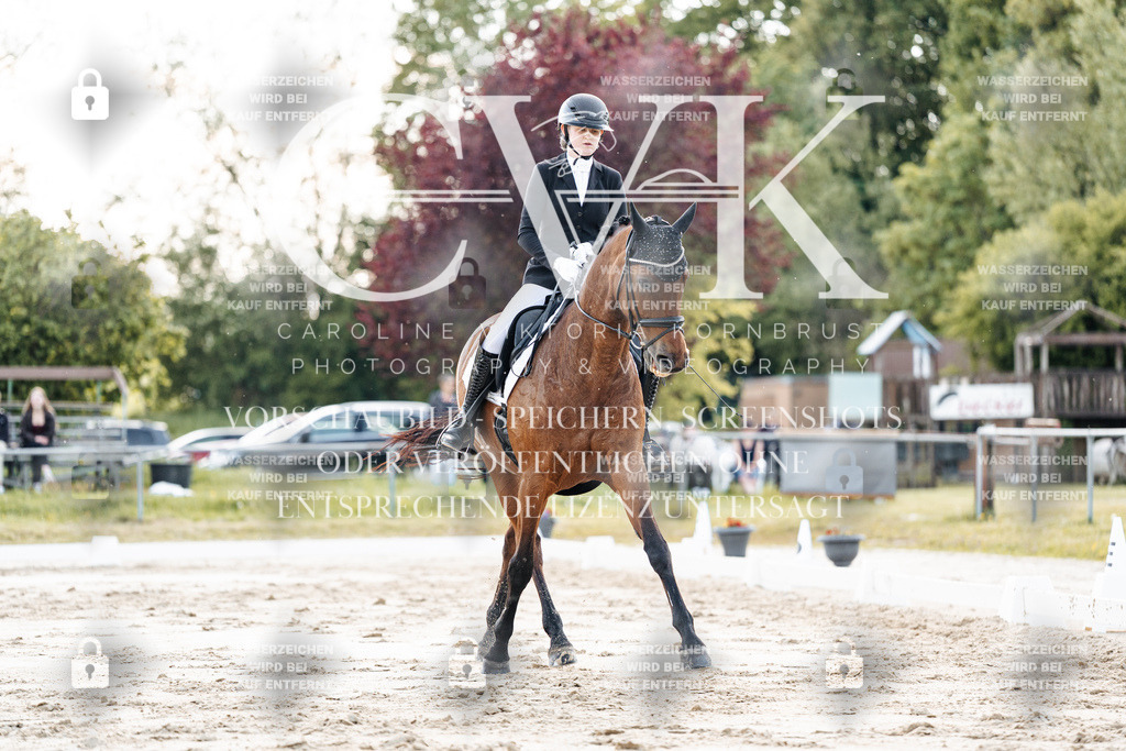 CK909664 | Turnierfotografie Pferdefotografie Trier Rheinland-Pfalz Pferdesport Reitsport Tierfotografie Sportfotografie Pferdevideo Pferdevideografie Equestrianvideography equestrianphotography  - Realisiert mit Pictrs.com