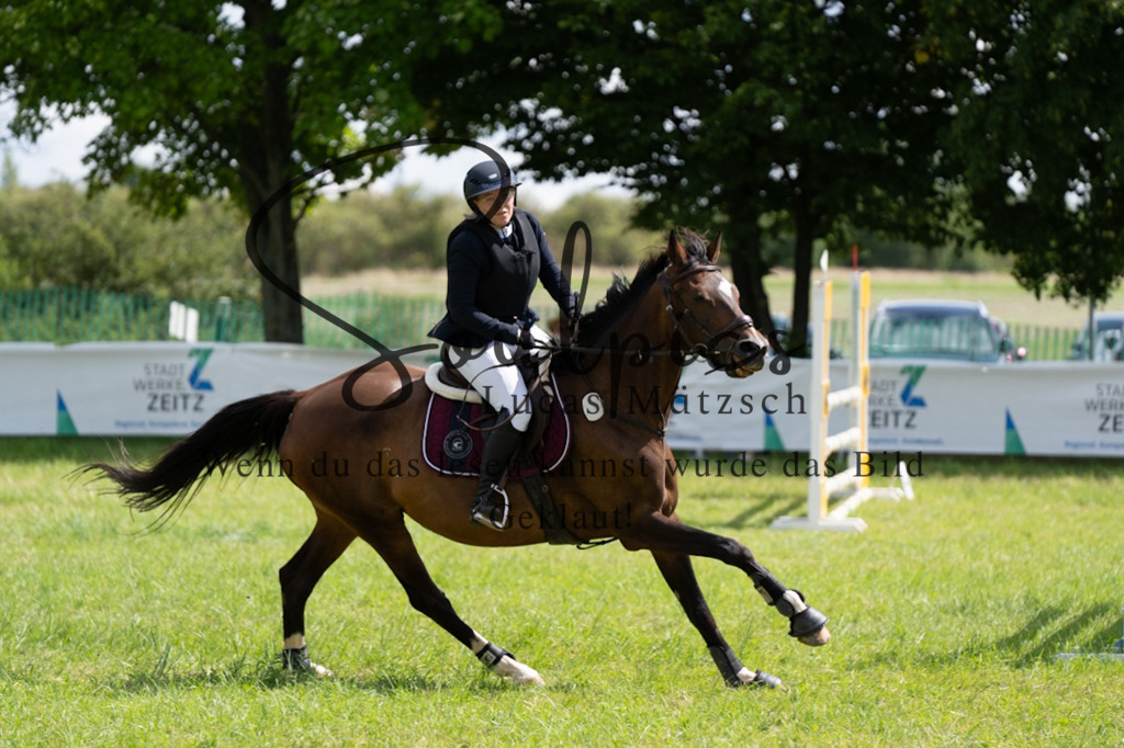 A7V04512 | Pferdefotograf