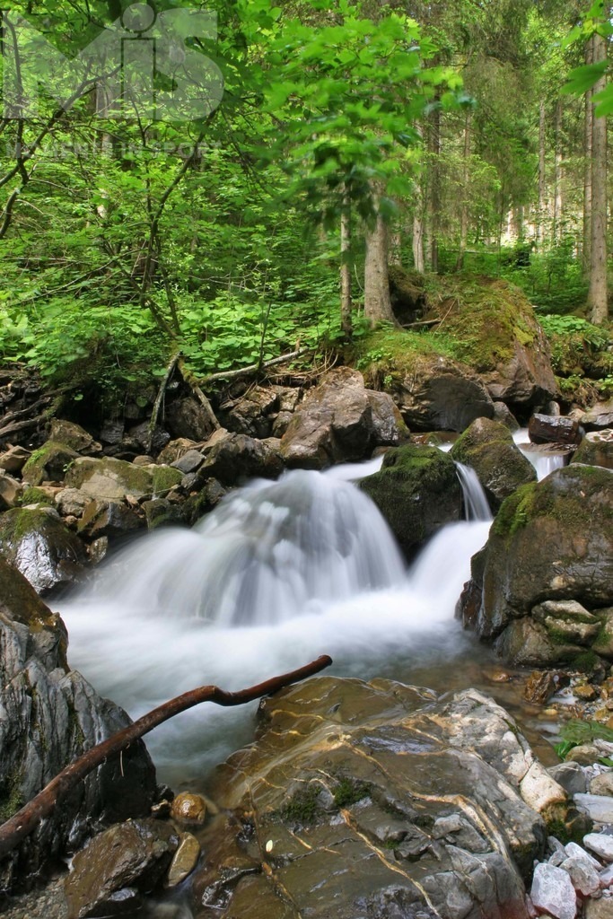 04070603.jpg | Gebirgsbach. Am Talweg von Reichenbach auf das Rubihorn. Allgaeuer Alpen. 

*COPYRIGHTS BY: S P O R T P R E S S E F O T O  M.I.S., I N N S B R U C K E R S T R . 12, 87719 M I N D E L H E I M, Tel: 08261/20944 oder 01713812882,  B a n k v e r b: Spk. MN, Kto.Nr: 810013276, BLZ: 73150000, Steuer-Nr.: 140/216/40124 FA-MN Honorar Bitte mit 7% MwSt und Belegexempl.   - Realisiert mit Pictrs.com