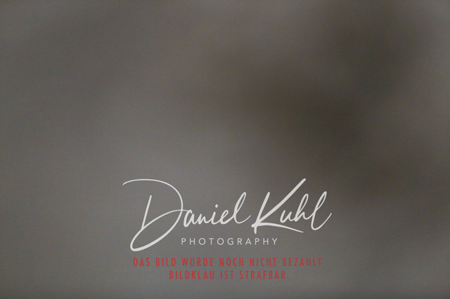 IMG_0875 | Turniersportfotografie; Pferdefotografie; Dressurfotografie