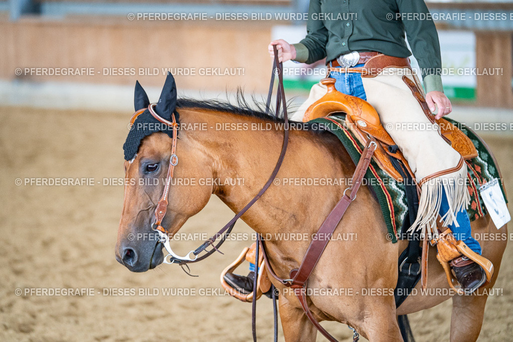 DSC03643 | Pferdegrafie