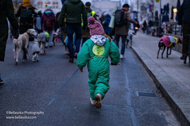 Galgomarsch2026-265 | Augenblicke kommen und gehen, Erinnerungen bleiben. Als Tierfotografin schaffe ich liebevolle Erinnerungen an unsere tierischen Familienmitglieder, ohne Stress und Druck.
Buchbar für den Raum München und Landkreis Dachau  - Realisiert mit Pictrs.com