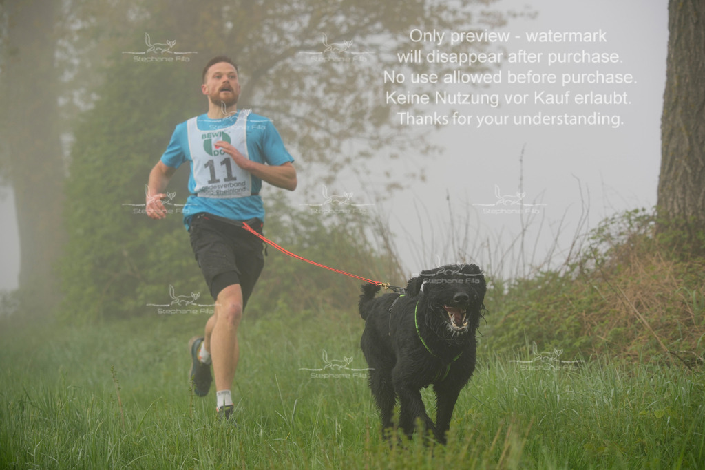 SA_GL2-61 | stephaniefillaphotographie - Realisiert mit Pictrs.com