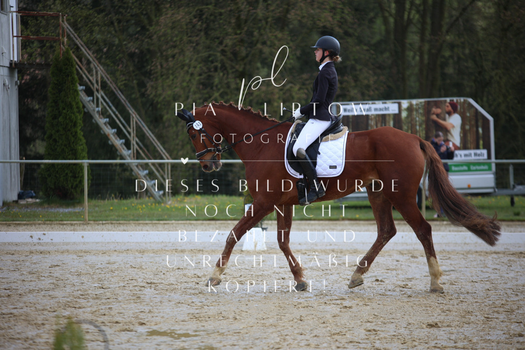 IMGT3552 | pl-fotografie