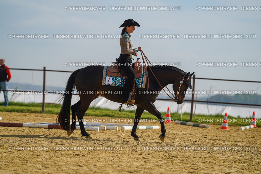 DSC01325 | Pferdegrafie