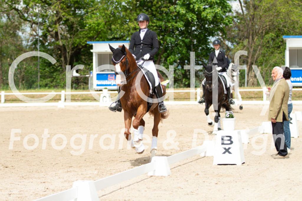 IMG_7026 | Creatify Fotografie