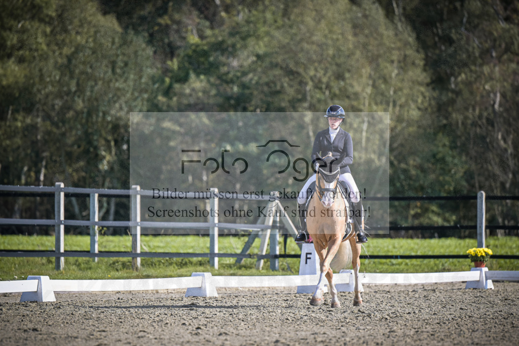 DOS_2113 | Entdecke hochwertige Reitturnierfotos von Foto Oger. Professionell, emotional und authentisch – jetzt Lieblingsmomente im Shop bestellen.Deutschlandweite Turnierfotografie. - Realisiert mit Pictrs.com
