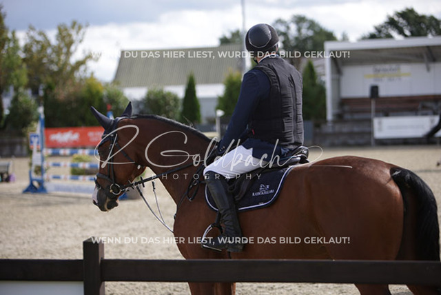 1J2A8169Niclas Aromaa_ Neyla 10_ Kn786_ Havekost | Foto- und Videografie für alles rund ums Pferd. Hochwertige Bilder und Videos vom Spring- und Dressurreiten, Voltigieren & mehr. Jetzt aktuelle Veranstaltungen und Preise im Shop ansehen. - Realisiert mit Pictrs.com