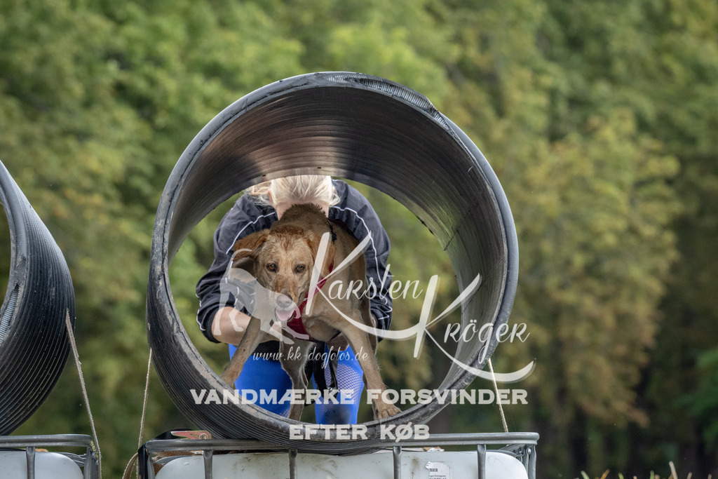 1130_ZZ94502 | kk-dogfotos