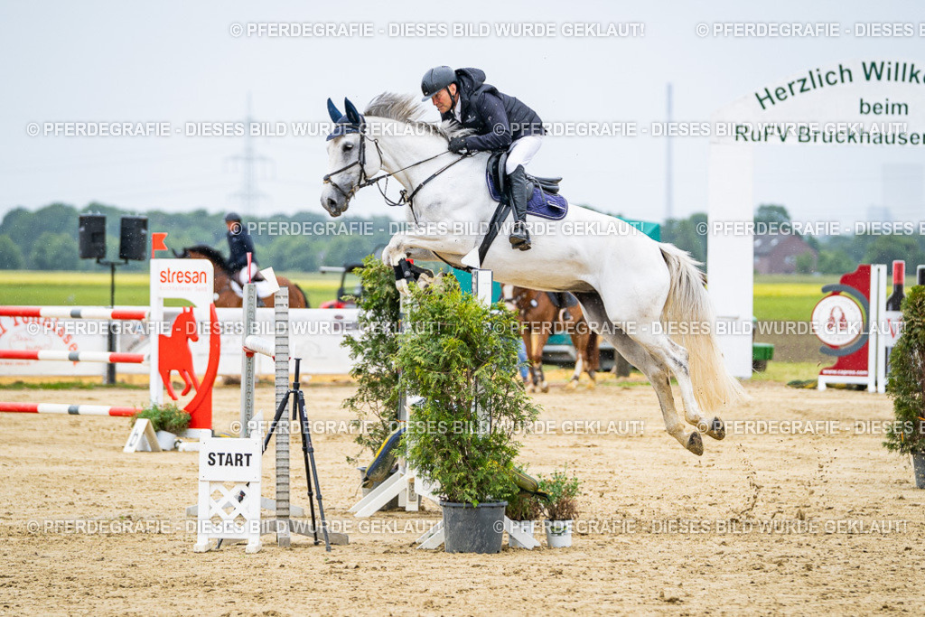 DSC07146 | Pferdegrafie