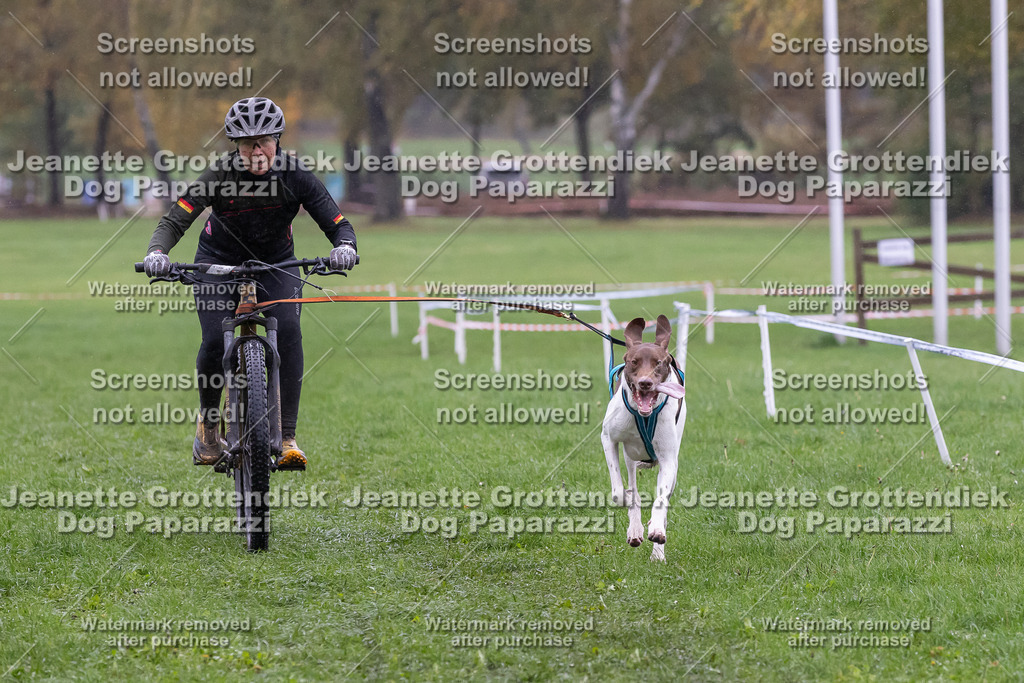 Dog Paparazzi - SD CaniX Championship 2025-933 | Dog Paparazzi Jeanette Grottendiek Fotografie & Videografie - Realisiert mit Pictrs.com