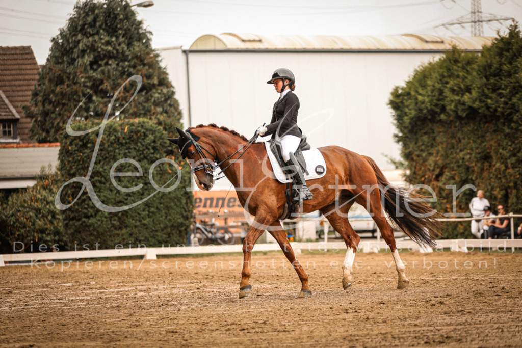16.SaDrM00141 | Leoni Ertmer Photography - Realisiert mit Pictrs.com