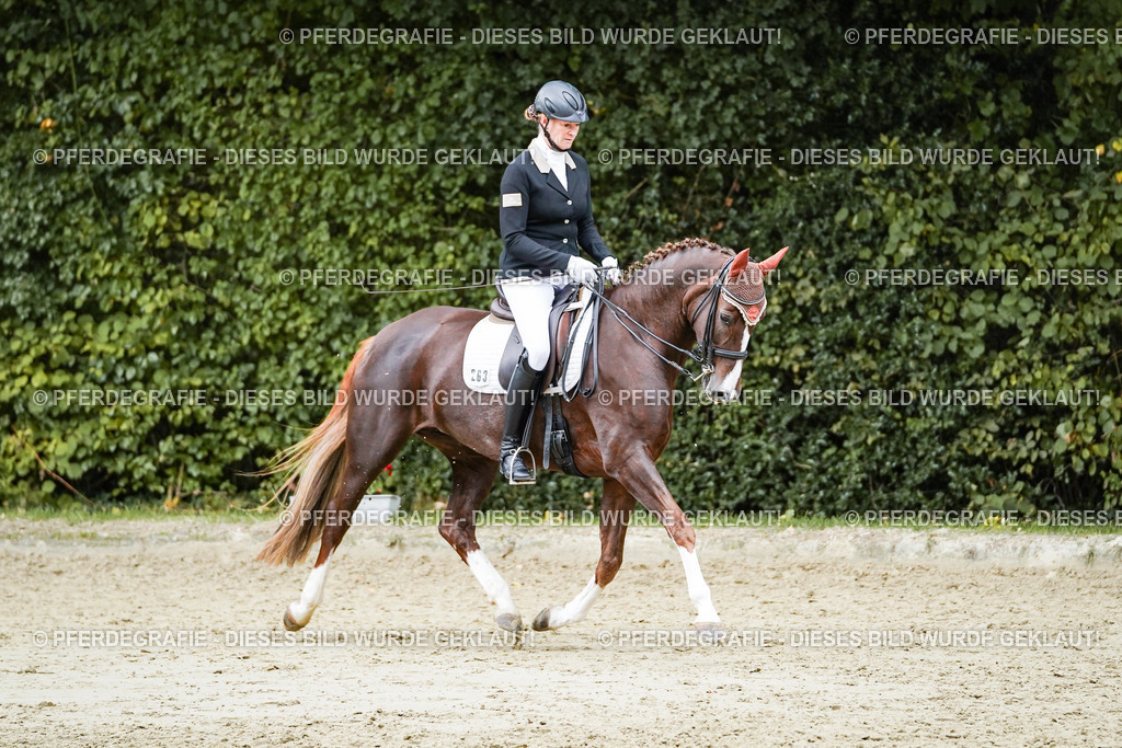 DSC06612 | Pferdegrafie