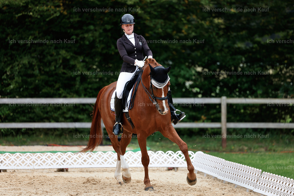 3-210-Dressur M_-StoibPH-2474 | working equitationturnier fotograf videograf stoibphotography marixx film working equitation deutschland reitsport turnierfotografie eventfotografie equestrian events