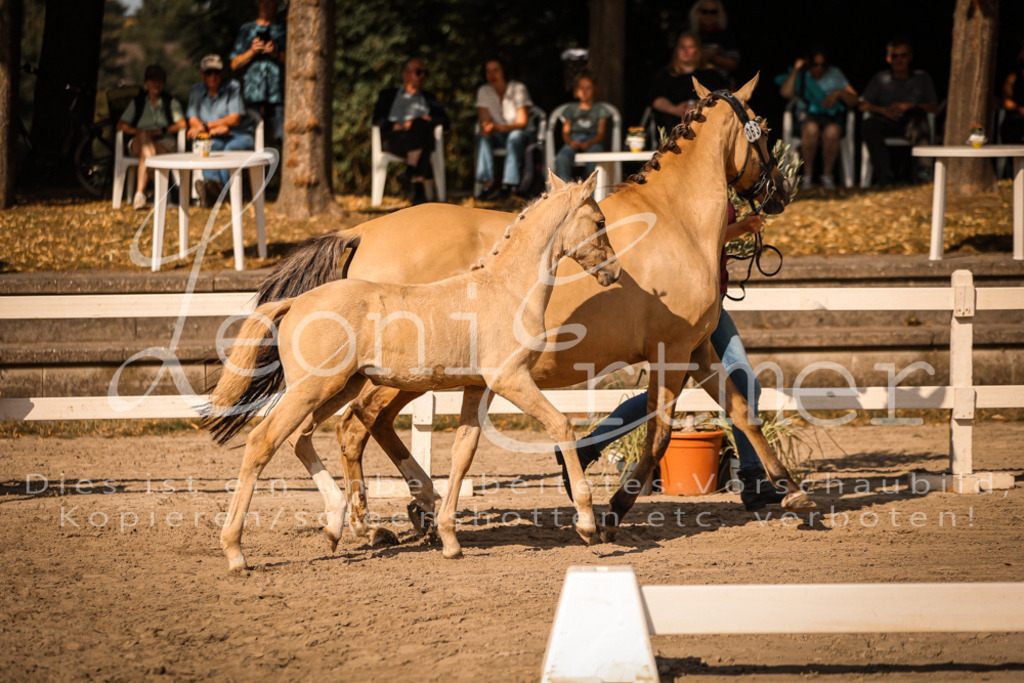 10.DoRP00188 | Leoni Ertmer Photography - Realisiert mit Pictrs.com