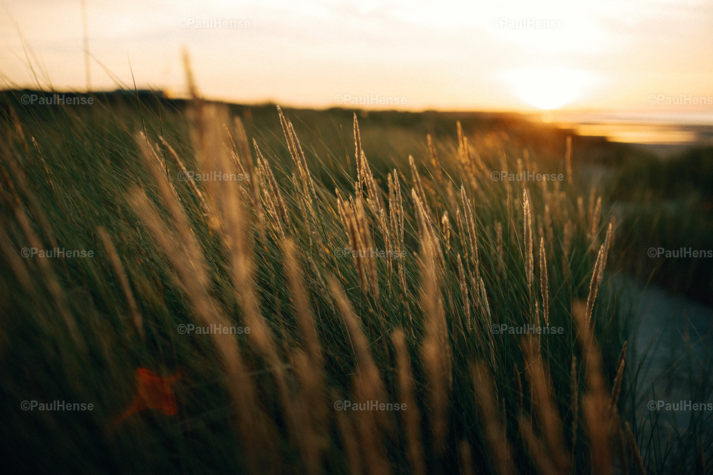 20220921_0001_PaulHense_DSC09449 | paulhense - Realisiert mit Pictrs.com