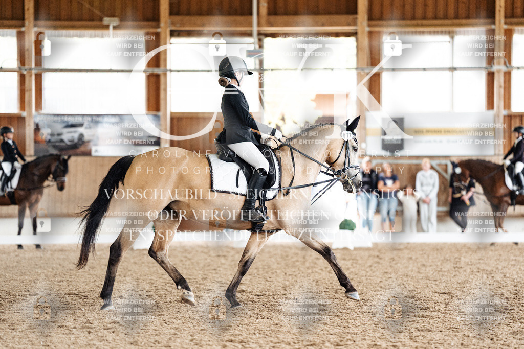 CK901575 | Turnierfotografie Pferdefotografie Trier Rheinland-Pfalz Pferdesport Reitsport Tierfotografie Sportfotografie Pferdevideo Pferdevideografie Equestrianvideography equestrianphotography  - Realisiert mit Pictrs.com