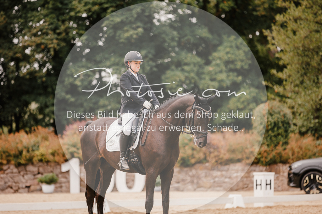 3I6A5983 | Stimmungsvolle Portraits und Reitsportfotografie im Ruhrgebiet und im Münsterland.

Pferdefotografie, Hundefotografie, Tierfotografie, Reportagen, Portraits von Tier und Mensch, Turnierfotografie in Bochum, Recklinghausen, Marl, Haltern am See, Dülmen.. - Realisiert mit Pictrs.com