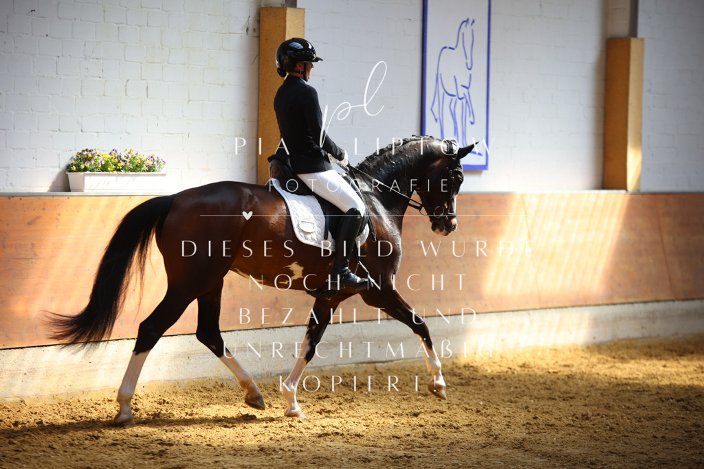 IMGT7417 | pl-fotografie