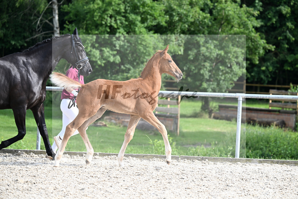 Kat-Nr. 32 Extreme U.S. x Londentime_HF_Fichtelmann_17250914 | hf-fotografie - Realisiert mit Pictrs.com