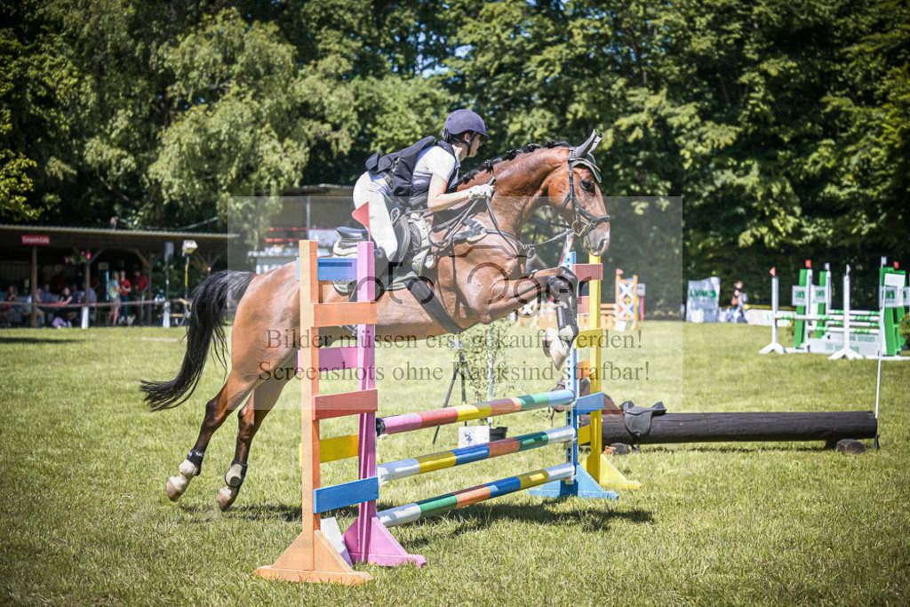 DOS_4631 | Entdecke hochwertige Reitturnierfotos von Foto Oger. Professionell, emotional und authentisch – jetzt Lieblingsmomente im Shop bestellen.Deutschlandweite Turnierfotografie. - Realisiert mit Pictrs.com