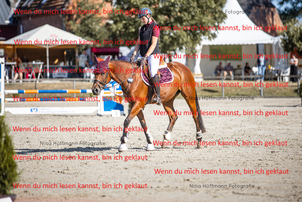 BK1A7234 | Turnierbilder Turnierfotos Nina Hüffmann Turnierfotografie Pferdefotografie Tierzeichnung Haustierzeichnung Pferdezeichnung Hundezeichnung Videograf  - Realisiert mit Pictrs.com