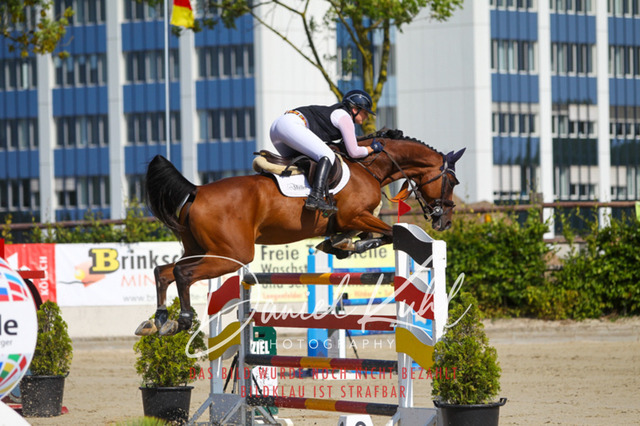 Gut Blee25_Zwei Phasen Springprfg S_0087 | Turniersportfotografie; Pferdefotografie; Dressurfotografie