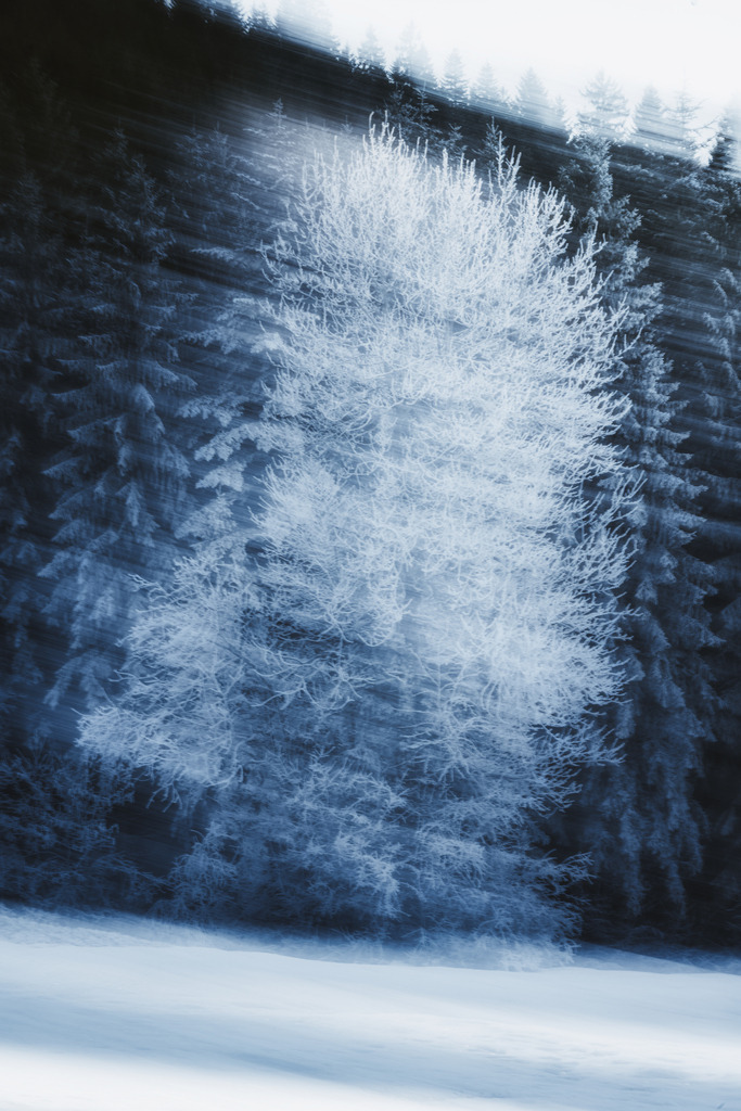 Traum | Winter - Realisiert mit Pictrs.com