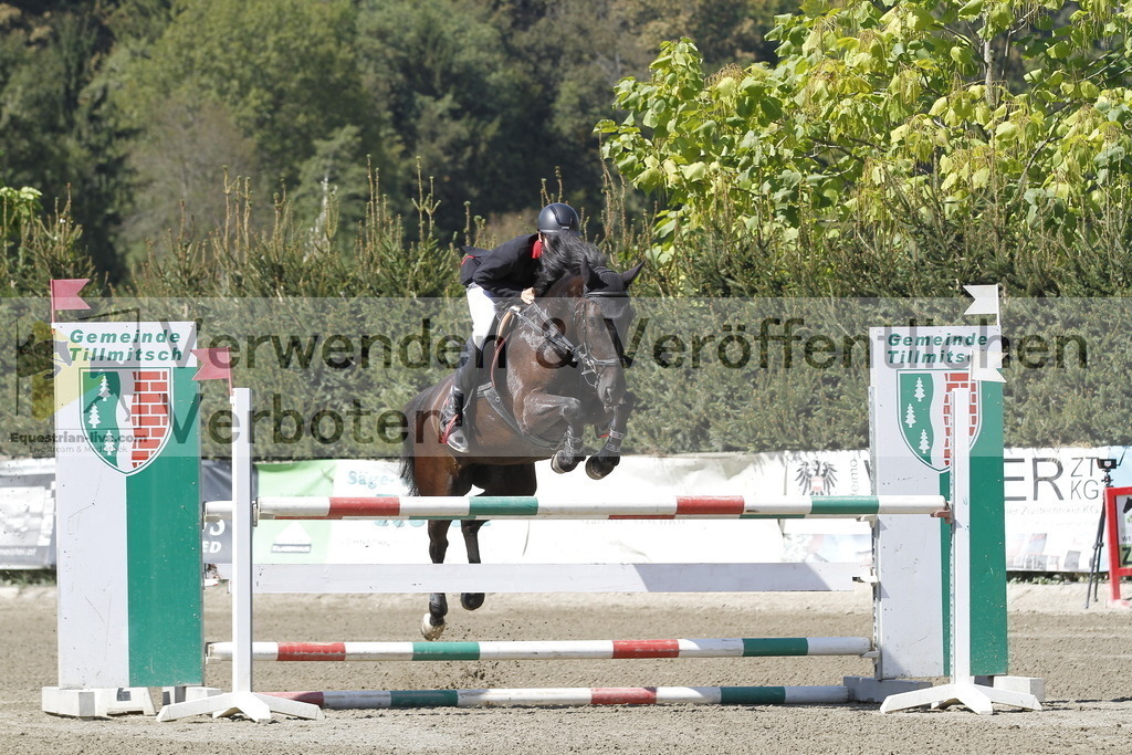 _MG_6218 | equestrian-live-com