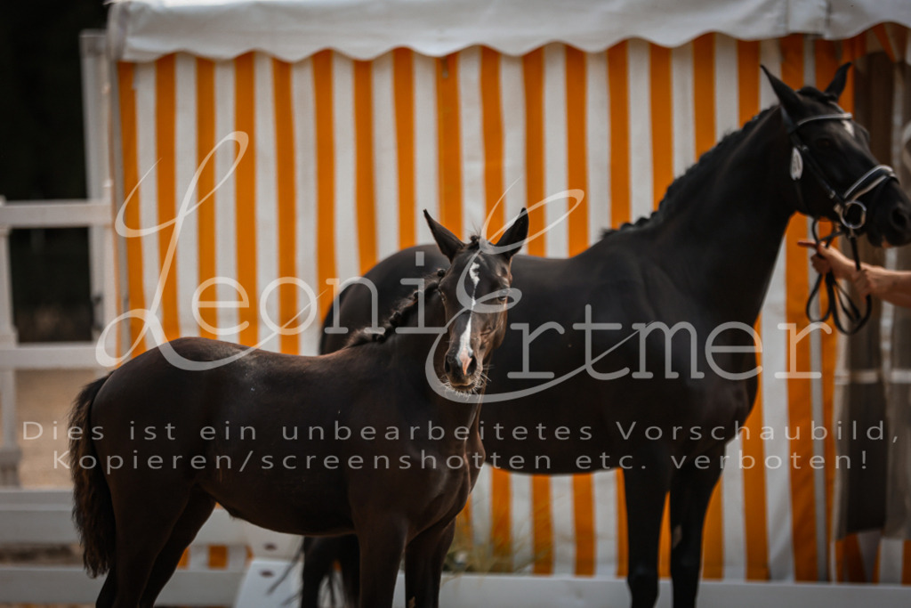 10.DoRP00064 | Leoni Ertmer Photography - Realisiert mit Pictrs.com