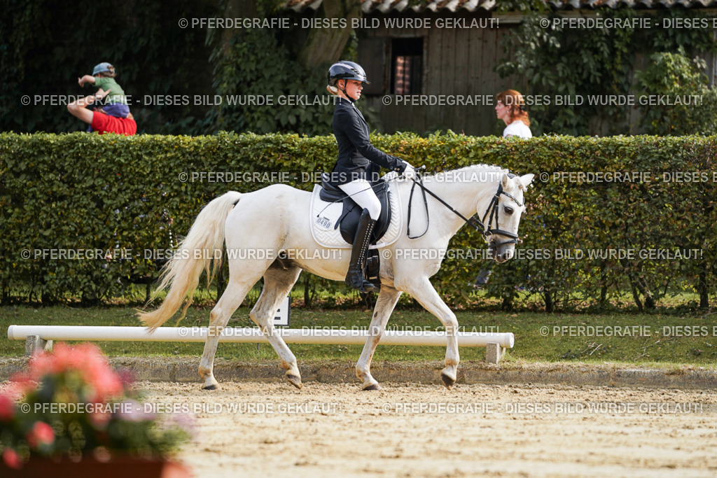 DSC04617 | Pferdegrafie