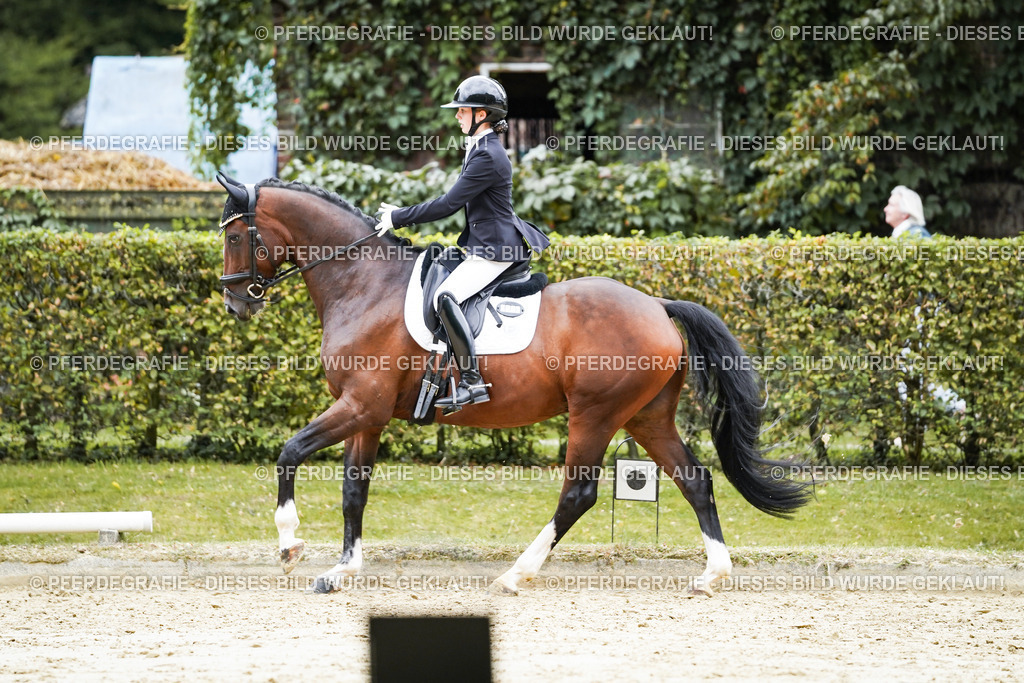 DSC07851 | Pferdegrafie