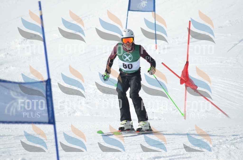 D9005 | holidayphoto