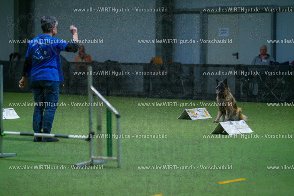 7R502560 | Professionelle Tierfotografie in Mönchengladbach von Daniel Wirth (allesWIRTHgut). Liebevolle & natürliche Bilder von Hunden & Katzen für unvergessliche Erinnerungen.