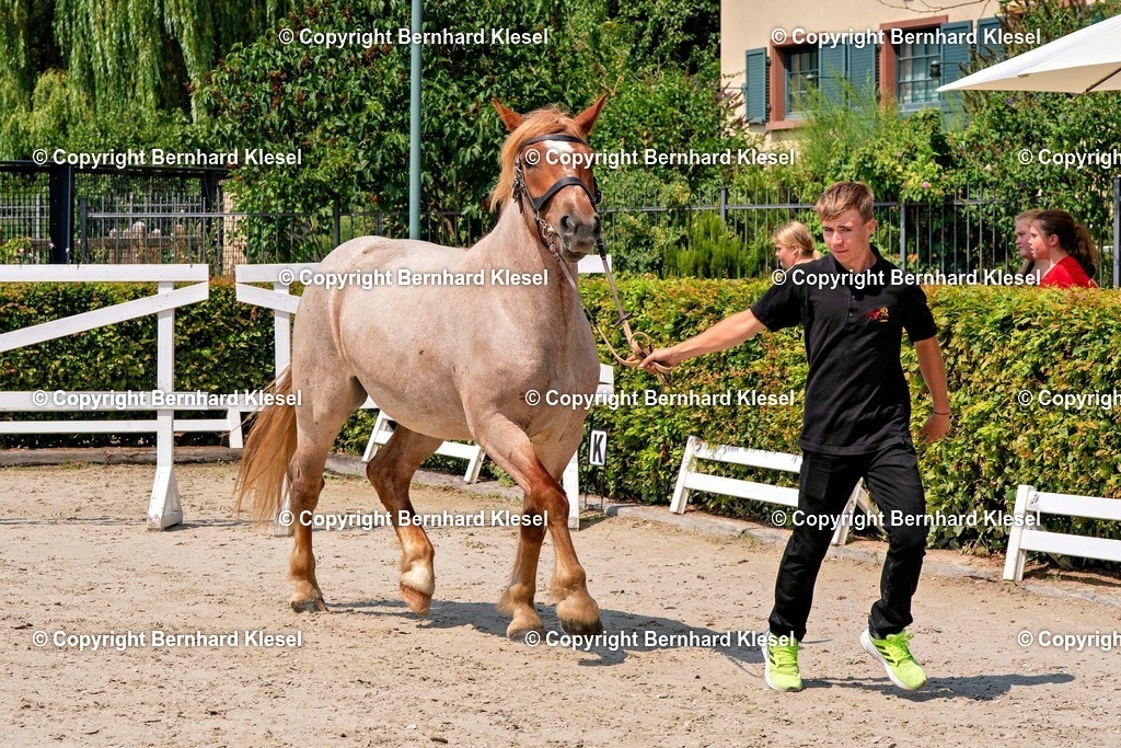 2A900563 | foto-team-bernhard - Realisiert mit Pictrs.com