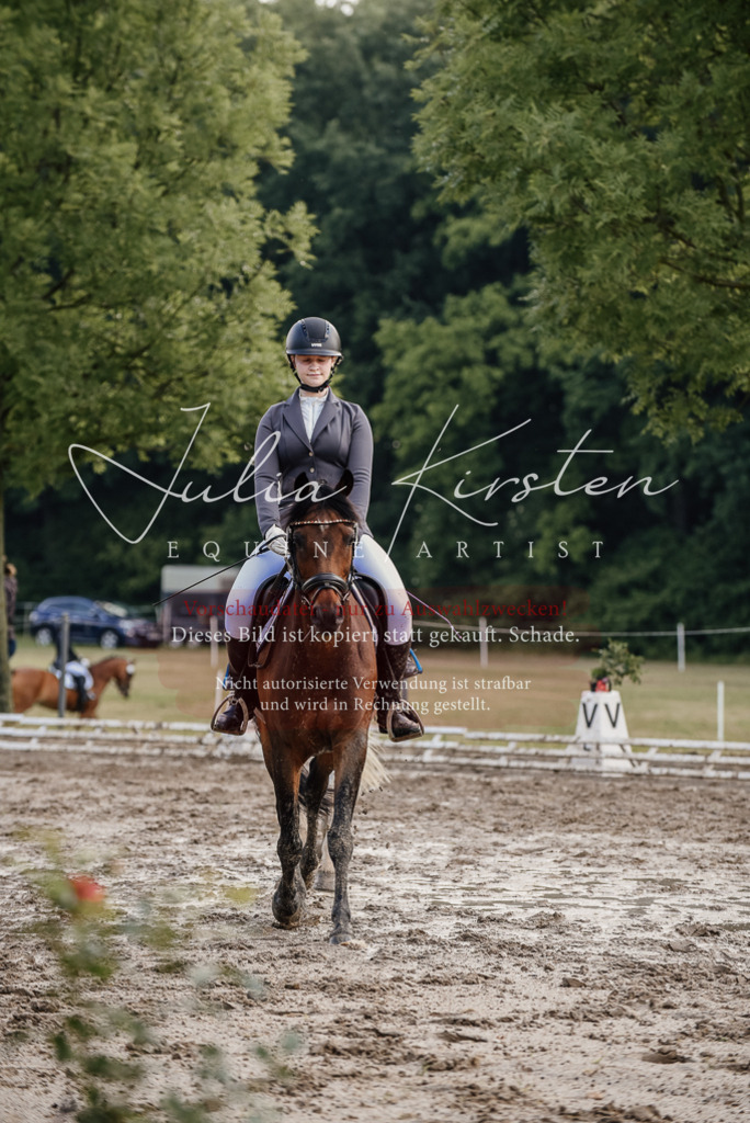 DSC_8313 | Pferde- und Turnierfotografie in Westsachsen. Pferdeportraits, Auftragszeichnungen und intuitive Kunst.