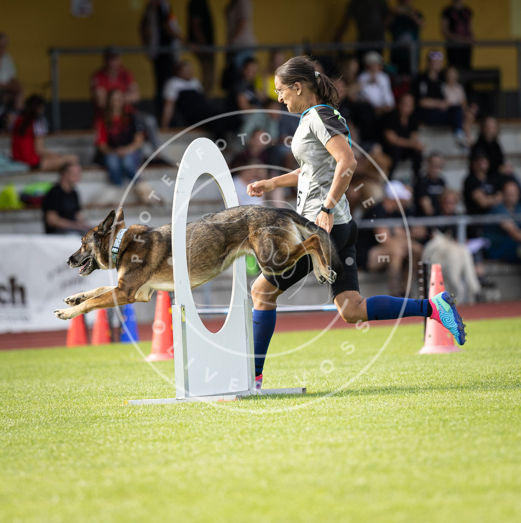 Pfotenfotografie_DV3A1842 | Hundefotografie, Tierfotograf, Pfotenfotografie, Fotoshooting Hund, Hunde Portrait, Hundesport, Hundeportraits, Heideshooting, Hunde, Sportfotograf, Hundefotograf, Turnierhundsport, THS,  - Realisiert mit Pictrs.com
