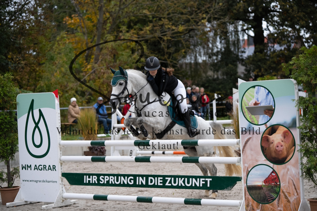 A7V08639 | Turnier/Reitfotograf