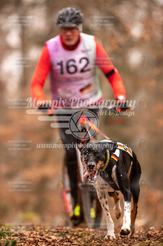 AKM_ST_2023_SAM_Scooter-27 | PayLife