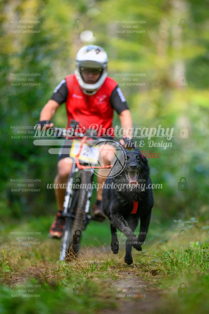 MompixPhotography_Yens2025_B1-8 | PayLife