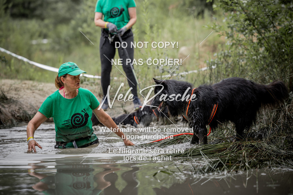 nelerasche_so0800-0930_359 | nelerasche