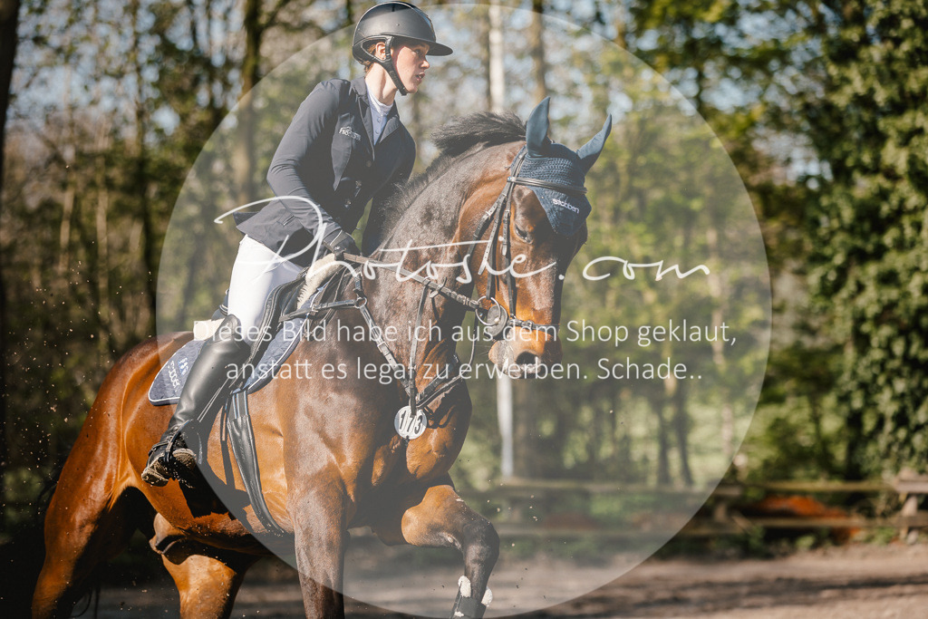 3I6A3658 | Stimmungsvolle Portraits und Reitsportfotografie im Ruhrgebiet und im Münsterland.

Pferdefotografie, Hundefotografie, Tierfotografie, Reportagen, Portraits von Tier und Mensch, Turnierfotografie in Bochum, Recklinghausen, Marl, Haltern am See, Dülmen.. - Realisiert mit Pictrs.com