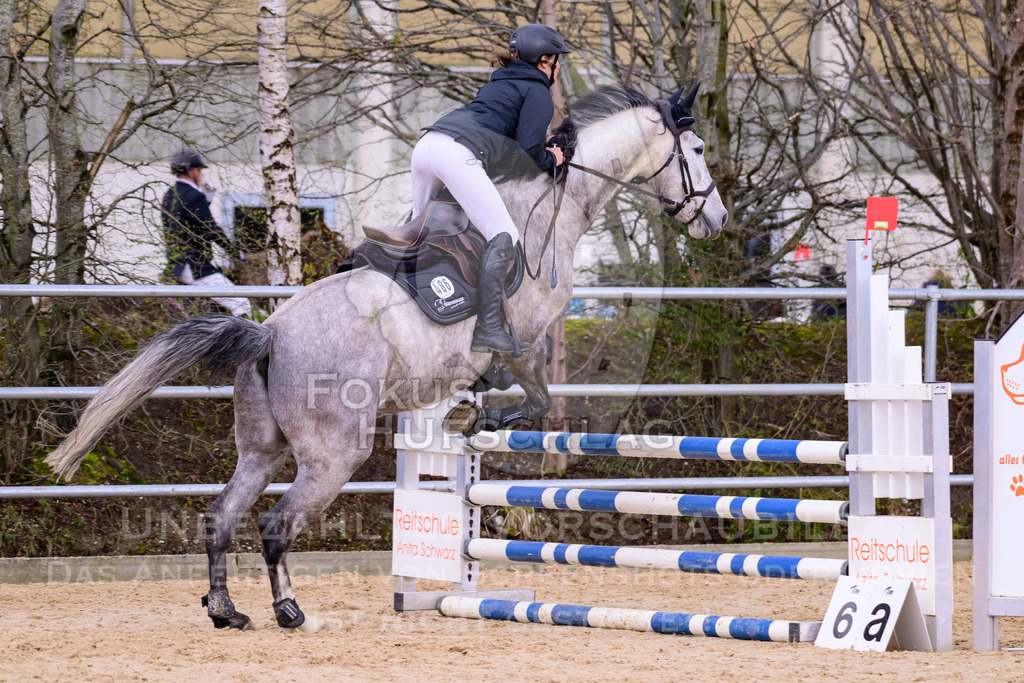 10042026-Mammendorf-Prfg16-0403 | Fokus Hufschlag Fotografie - Realisiert mit Pictrs.com