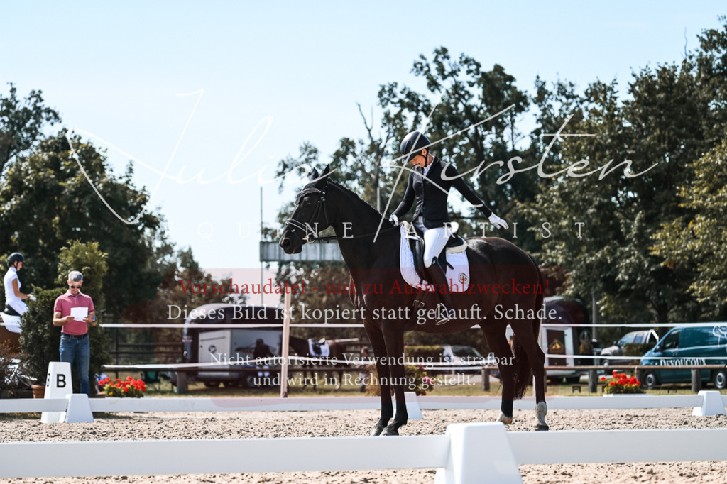 DSC_5363 | Pferde- und Turnierfotografie in Westsachsen. Pferdeportraits, Auftragszeichnungen und intuitive Kunst.