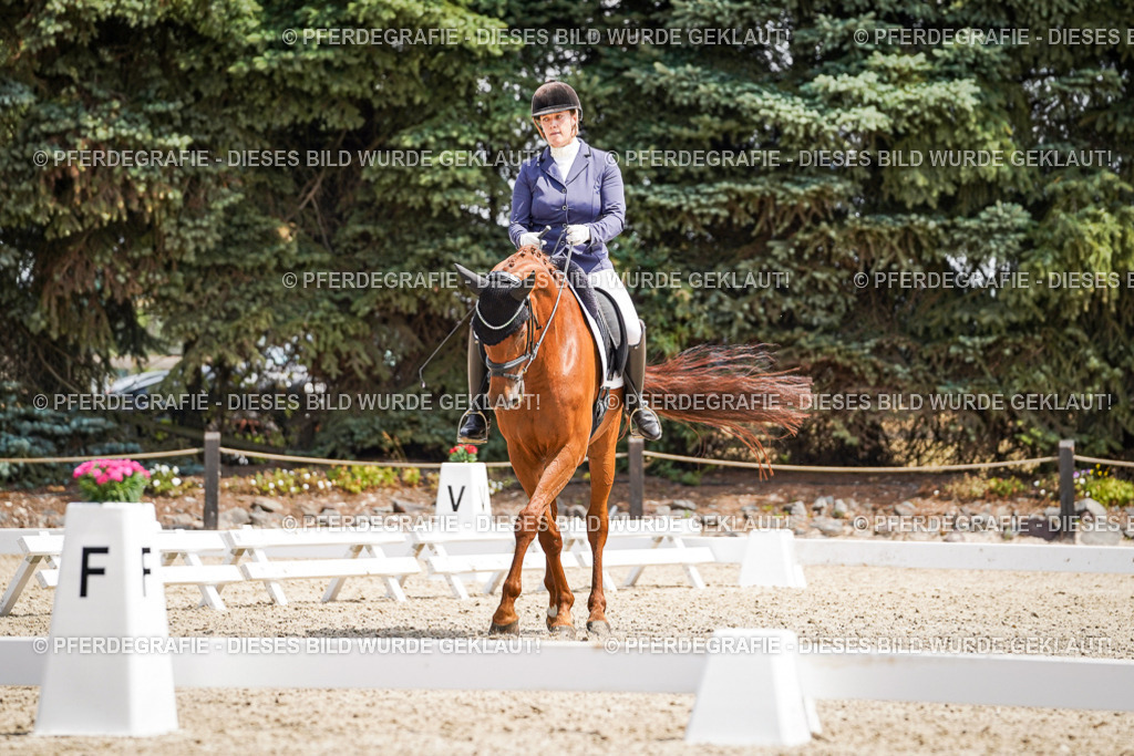 DSC00627 | Pferdegrafie