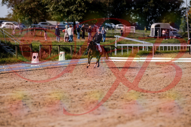 2026_10_03_Siefer-Hof_122249_Z81_22294370 | Professionelle Reitsport-, Turnier- und Eventfotografie von Robert Broda. Galerien mit ausgewählten und bearbeiteten Bildern direkt online ansehen und bestellen.