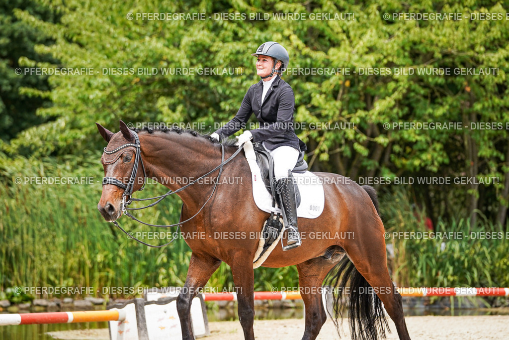 DSC04946 | Pferdegrafie