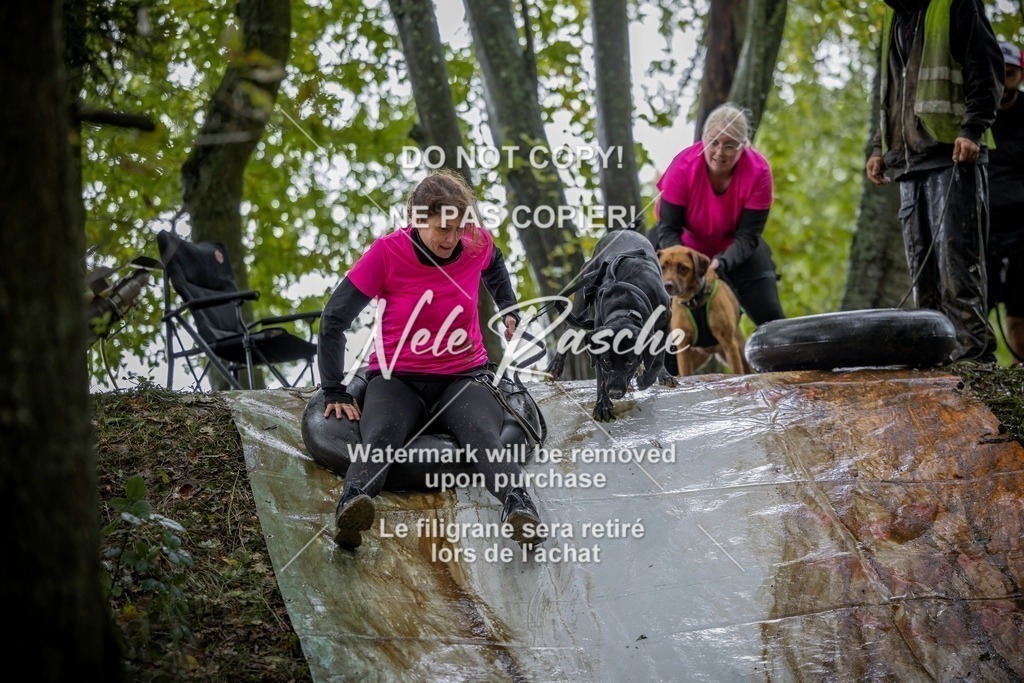 nelerasche_Hunsrück_Sa1430-1500_191-final | nelerasche