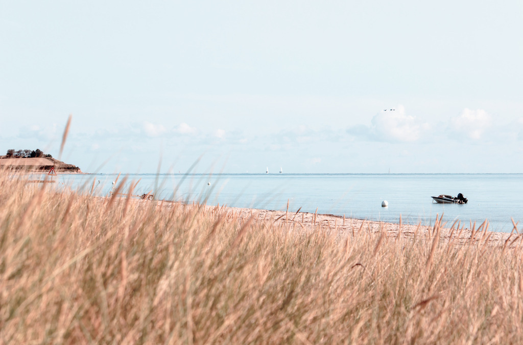 Wandbild: Strandhafer am Meer in dezenten Farben | Dieses Wandbild im Querformat zeigt Strandhafer am Meer. Es hat einen hellen Beigeton. In der Ferne kann man auf der linken Seite die Steilküste sehen. Das Meer sowie der Himmel sind pastellartig blau. Durch die dezenten Farben wirkt das Bild elegant und stilvoll. Holen Sie sich mit diesem dekorativen Wandbild den Strandurlaub für das ganze Jahr nach Hause oder an den Arbeitsplatz. Es ist auf Leinwand, auf Aluminium-Platte, Acrylglas oder als Holzdruck erhältlich. Dabei wird es individuell für Sie in vielen Abmessungen produziert. Daher passen die Ostseekult Wandbilder immer perfekt an Ihre Wände.  - Realisiert mit Pictrs.com